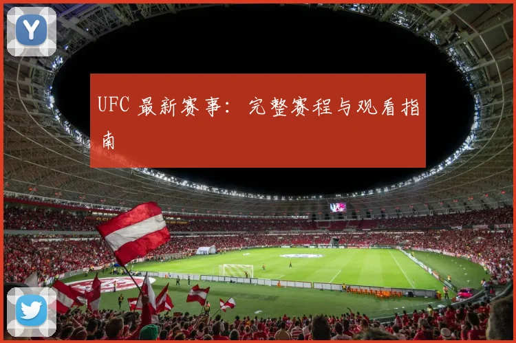 UFC 最新赛事：完整赛程与观看指南