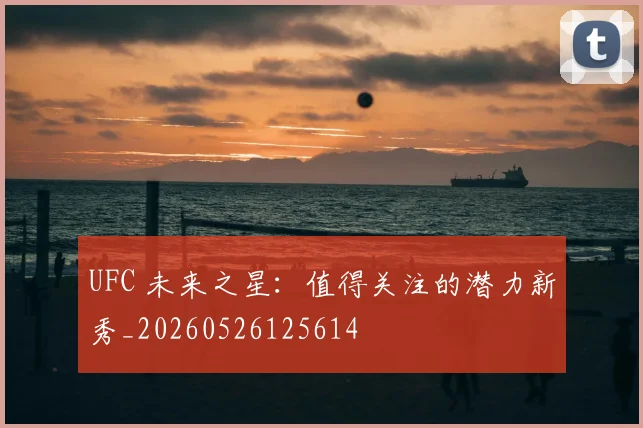 UFC 未来之星：值得关注的潜力新秀_20260526125614